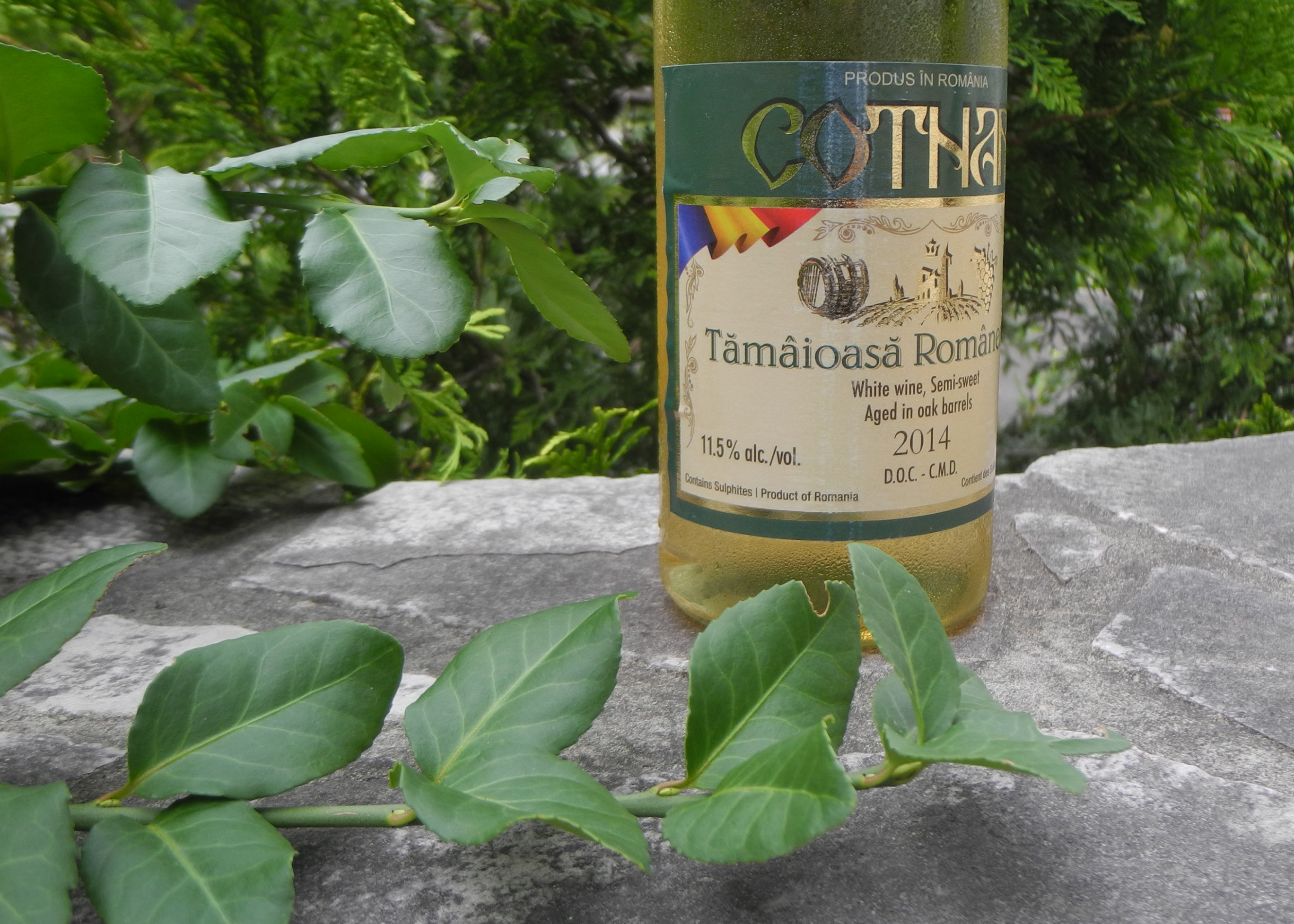 Roumanian wine - Tamaioasa Romaneasca Cotnari DOC